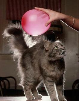 微信截圖_20180823120927.jpg 微信截圖_20180823120927.jpg